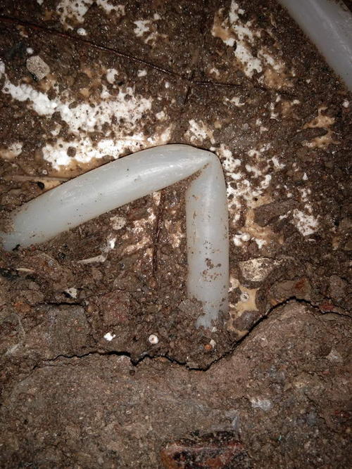 龙江堵点精准查找